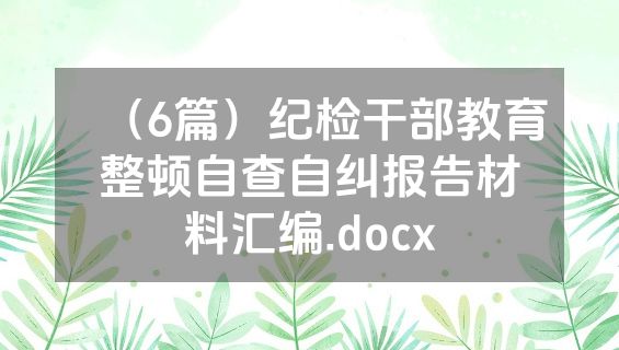 （6篇）纪检干部教育整顿自查自纠报告材料汇编.docx