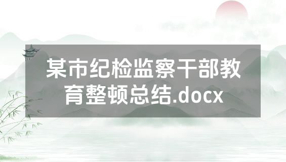 某市纪检监察干部教育整顿总结.docx