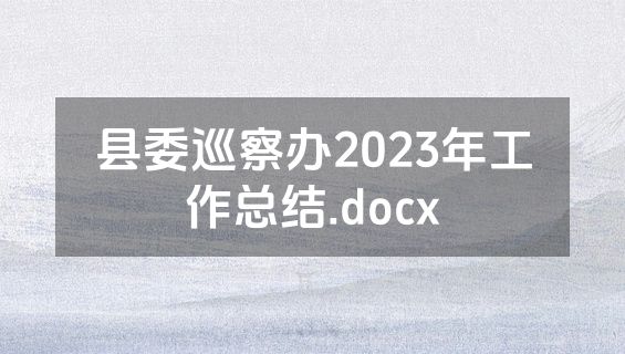 县委巡察办2023年工作总结.docx