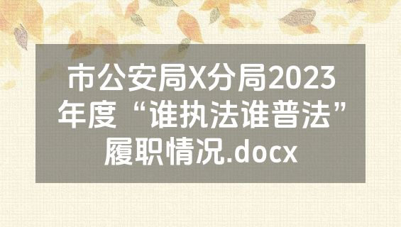 市公安局X分局2023年度“谁执法谁普法”履职情况.docx