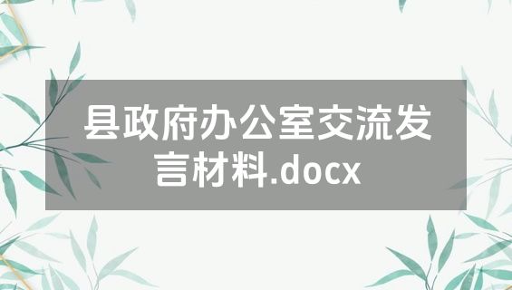 县政府办公室交流发言材料.docx