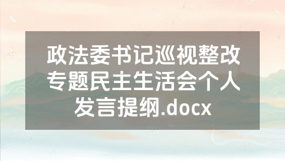 政法委书记巡视整改专题民主生活会个人发言提纲.docx