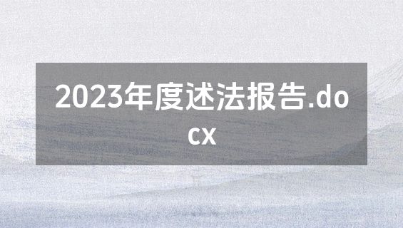 2023年度述法报告.docx