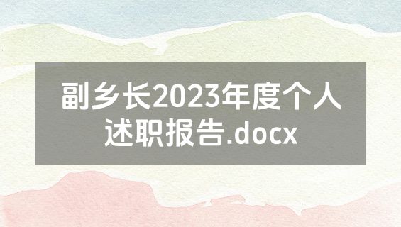 副乡长2023年度个人述职报告.docx