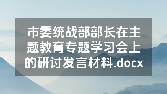 市委统战部部长在主题教育专题学习会上的研讨发言材料.docx