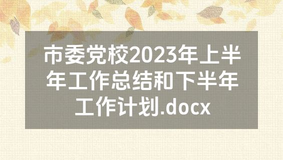 市委党校2023年上半年工作总结和下半年工作计划.docx