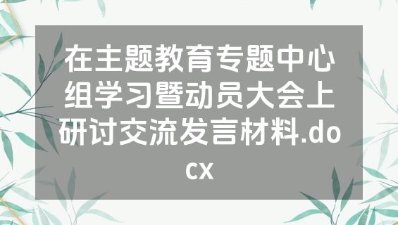 在主题教育专题中心组学习暨动员大会上研讨交流发言材料.docx