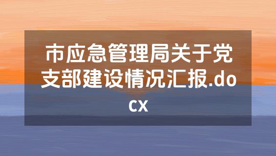 市应急管理局关于党支部建设情况汇报.docx