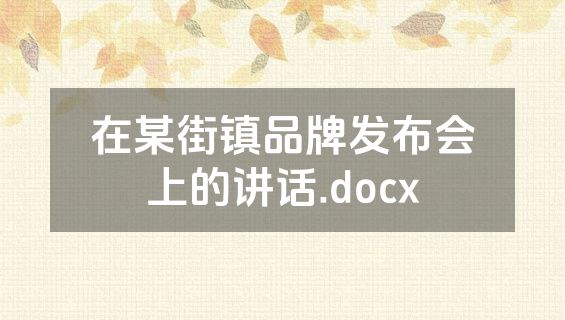 在某街镇品牌发布会上的讲话.docx