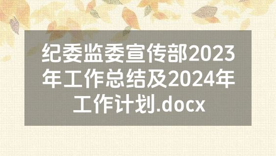纪委监委宣传部2023年工作总结及2024年工作计划.docx