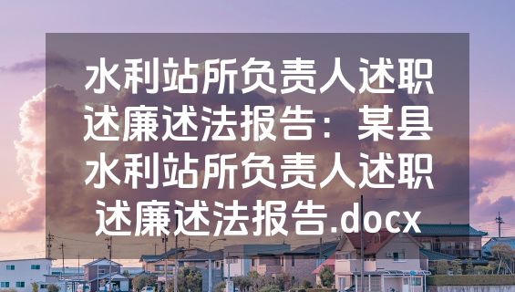 水利站所负责人述职述廉述法报告：某县水利站所负责人述职述廉述法报告.docx