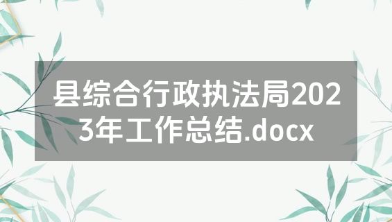 县综合行政执法局2023年工作总结.docx