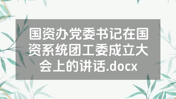 国资办党委书记在国资系统团工委成立大会上的讲话.docx