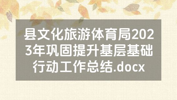 县文化旅游体育局2023年巩固提升基层基础行动工作总结.docx