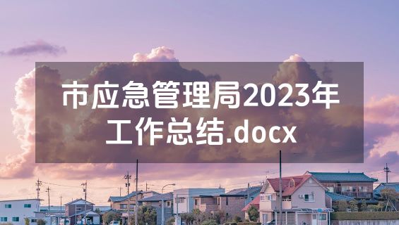 市应急管理局2023年工作总结.docx