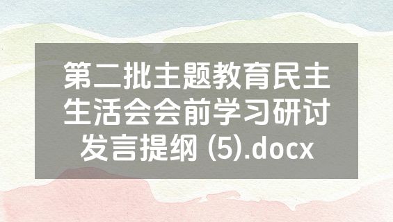 第二批主题教育民主生活会会前学习研讨发言提纲 (5).docx
