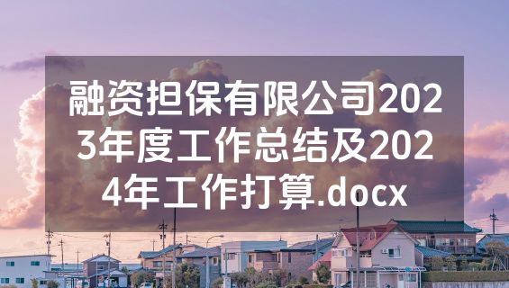 融资担保有限公司2023年度工作总结及2024年工作打算.docx