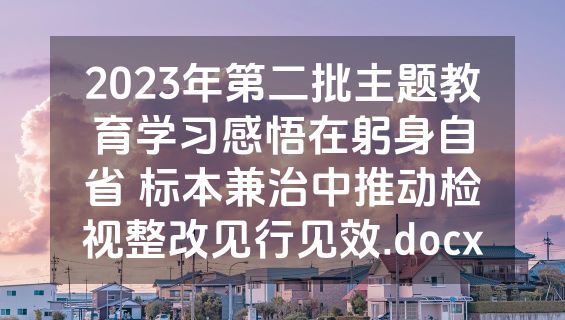 2023年第二批主题教育学习感悟在躬身自省 标本兼治中推动检视整改见行见效.docx