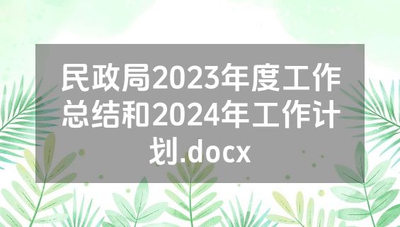 民政局2023年度工作总结和2024年工作计划.docx