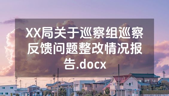 XX局关于巡察组巡察反馈问题整改情况报告.docx