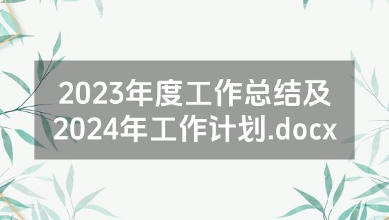 2023年度工作总结及2024年工作计划.docx