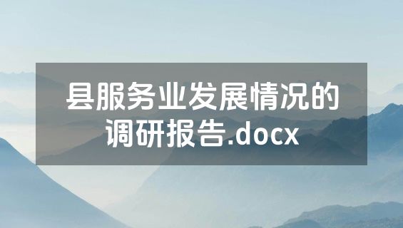 县服务业发展情况的调研报告.docx
