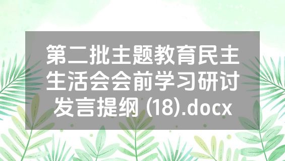 第二批主题教育民主生活会会前学习研讨发言提纲 (18).docx