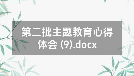 第二批主题教育心得体会 (9).docx