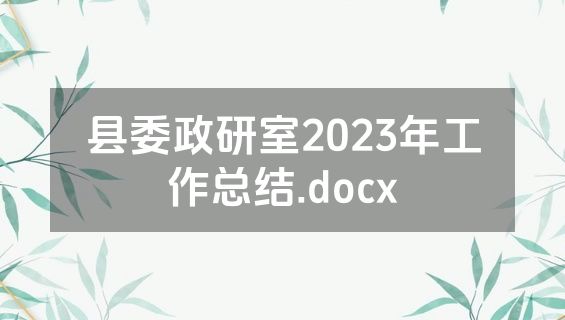 县委政研室2023年工作总结.docx
