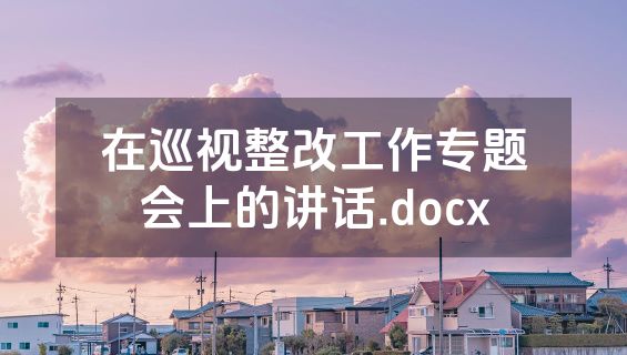 在巡视整改工作专题会上的讲话.docx