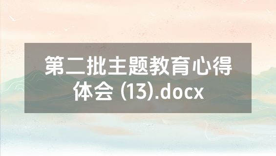第二批主题教育心得体会 (13).docx