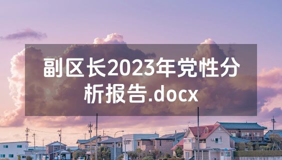 副区长2023年党性分析报告.docx