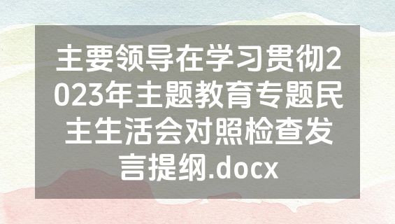 主要领导在学习贯彻2023年主题教育专题民主生活会对照检查发言提纲.docx