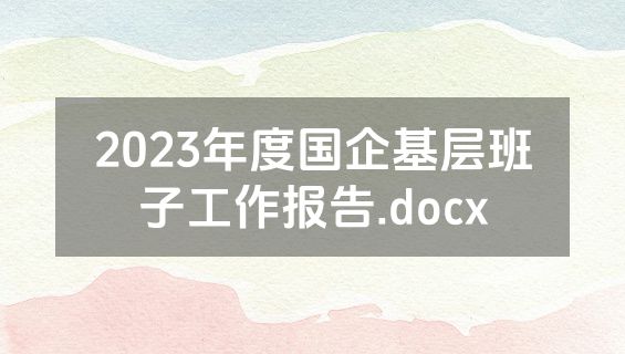 2023年度国企基层班子工作报告.docx