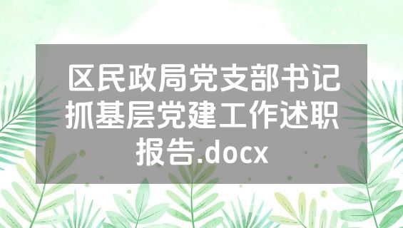 区民政局党支部书记抓基层党建工作述职报告.docx
