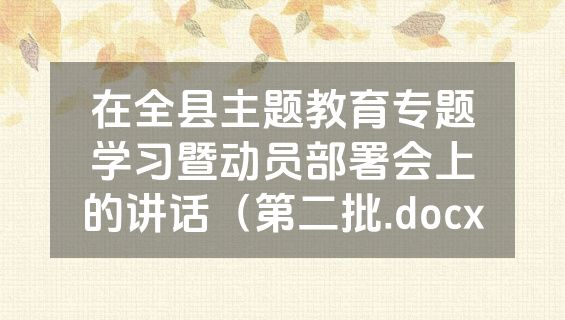在全县主题教育专题学习暨动员部署会上的讲话（第二批.docx