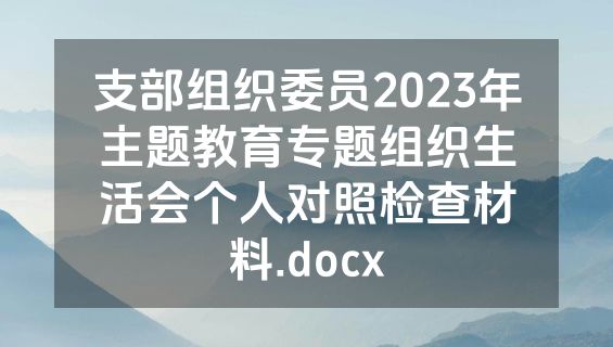 支部组织委员2023年主题教育专题组织生活会个人对照检查材料.docx
