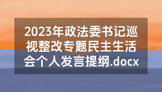 2023年政法委书记巡视整改专题民主生活会个人发言提纲.docx