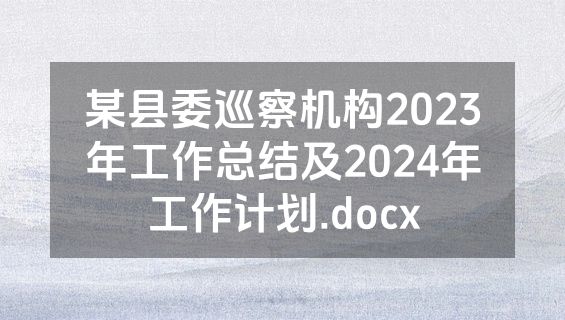 某县委巡察机构2023年工作总结及2024年工作计划.docx