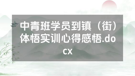 中青班学员到镇（街）体悟实训心得感悟.docx