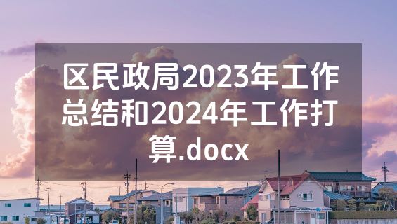 区民政局2023年工作总结和2024年工作打算.docx
