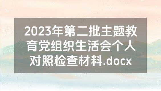 2023年第二批主题教育党组织生活会个人对照检查材料.docx