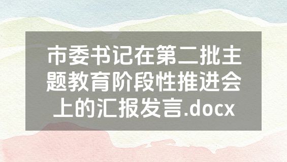 市委书记在第二批主题教育阶段性推进会上的汇报发言.docx