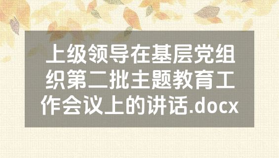 上级领导在基层党组织第二批主题教育工作会议上的讲话.docx