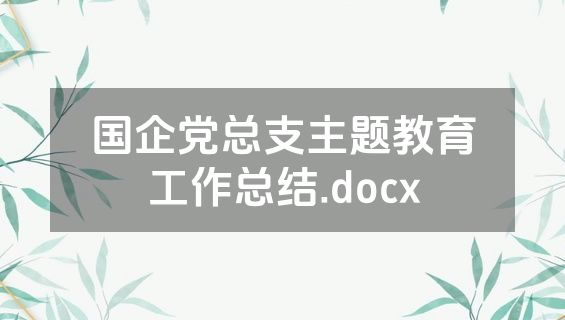 国企党总支主题教育工作总结.docx