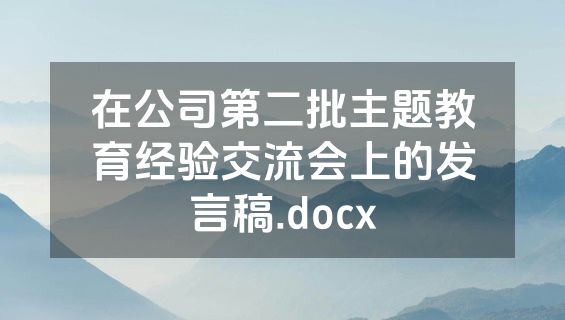 在公司第二批主题教育经验交流会上的发言稿.docx