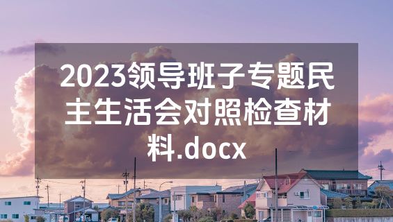 2023领导班子专题民主生活会对照检查材料.docx