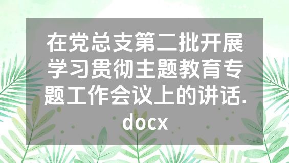 在党总支第二批开展学习贯彻主题教育专题工作会议上的讲话.docx