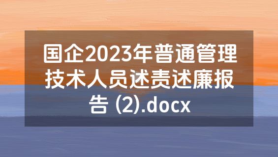 国企2023年普通管理技术人员述责述廉报告 (2).docx