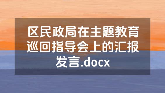 区民政局在主题教育巡回指导会上的汇报发言.docx